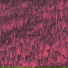 BIOFARM