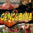 MC Canapi JM, MC HUGO R2, joninhas, Djhow Sta
