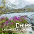 Lysandeer Lemaire