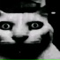 xsteven.wav, haqaru, LaughingSkxll, NORWXXD REAPER