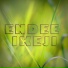 Endee Ikeji