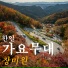 Jang Miwon