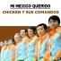 Chicken y Sus Comandos