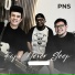 PNS