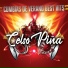 Celso Piña feat. La Adicción
