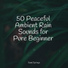 Zen Meditate, Tinnitus, Instrumental