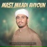 Dildar Hussain Ghoto Hussaini