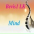 Bevis1 LK
