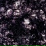 ARVAN 阿尔梵