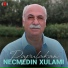 Necmedîn Xulamî