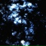 MXNERA