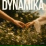 Dynamika