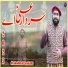 M Saqib Raza Qadri