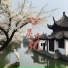 禅修音乐盒
