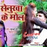 Munna Pal, Shilpi Raj