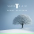 Safinteam