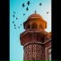 Aiman Faheem