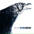 Seven Eyed Crow