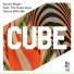The Cube Guys, Darren Regan housedownload.com