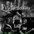 Virgin Soldiers
