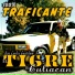 Jose Carlos Gastelum El Tigre De Culiacan