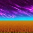 элементы среды