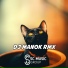 DJ Manok Rmx