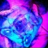 Soaringthroughthedepths