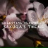 Celestial Alignment