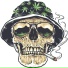 Skull Tech
