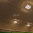 lh