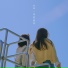 Moonbit