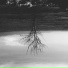 Undyed