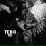 Tebo