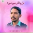 Asim Abbas Sanwal