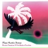 Bruno Vansina, Orchestra Exotica