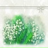 Wildflower