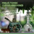 Миша Томас, Сергеи Николаев
