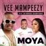 Vee Mampeezy feat. Dj Ngwazi, Basetsana
