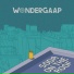 WonderGaap