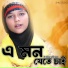 SMN STUDIO feat. Minara Parveen