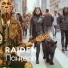 RAIDEN