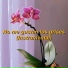 Mery Granados