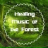 Healing Music Spirit
