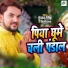 Gunjan Singh, Shilpi Raj