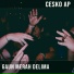 Cesko Ap