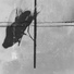ROBOHORSE