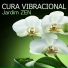 Armonia Florez