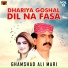 Ghamshad Ali Mari
