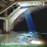 Ham1